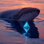Una ballena con el logo de Ethereum en su pecho.
