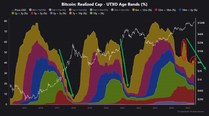 Graphic that shows the capitalization of Bitcoin by UTXO age bands.