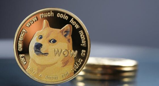 Dogecoin está más cerca de llegar a Wall Street con nuevo avance de Bitwise