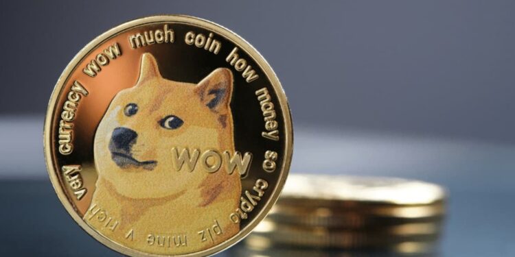 Moneda de DOGE.