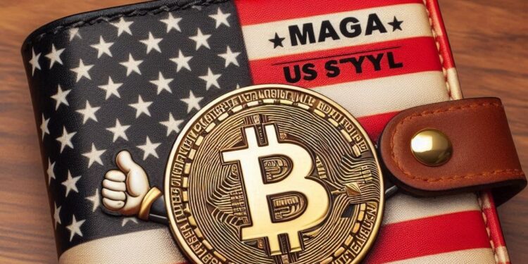 una wallet de bitcoin que diga MAGA, estilo EE. UU