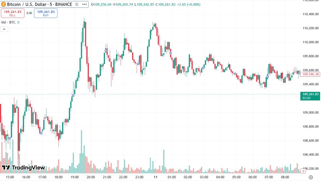 Gráfica precio de bitcoin.