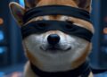 El perro DOGE vestido de ninja.