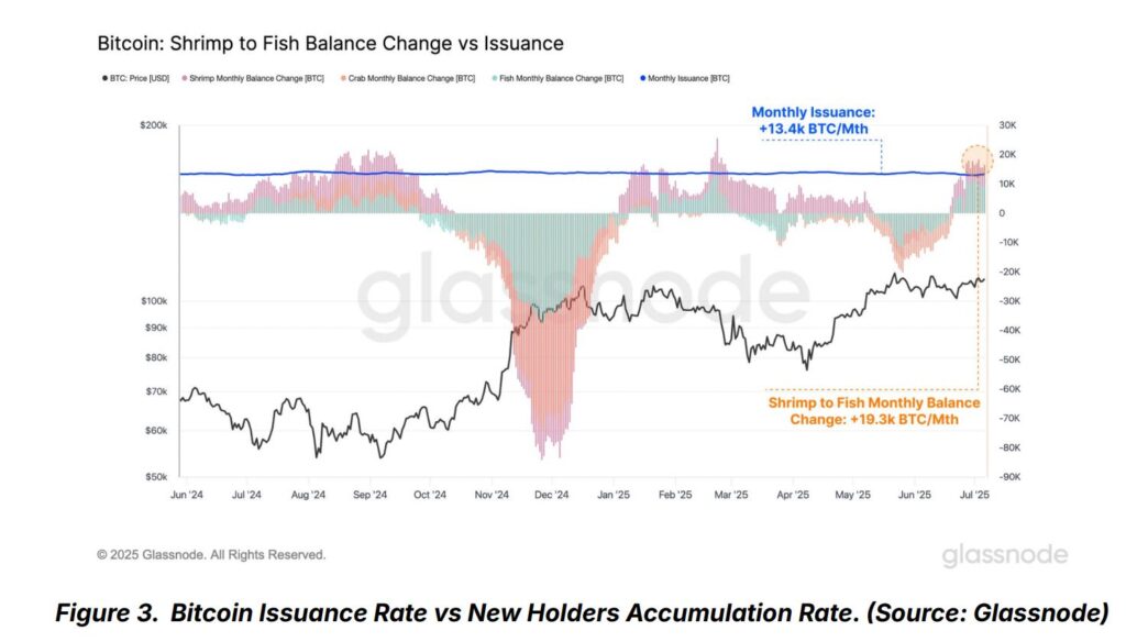 Gráfico de relación entre la acumulación de bitcoin por parte de diferentes inversores.
