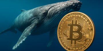 Ballena junto a bitcoin.