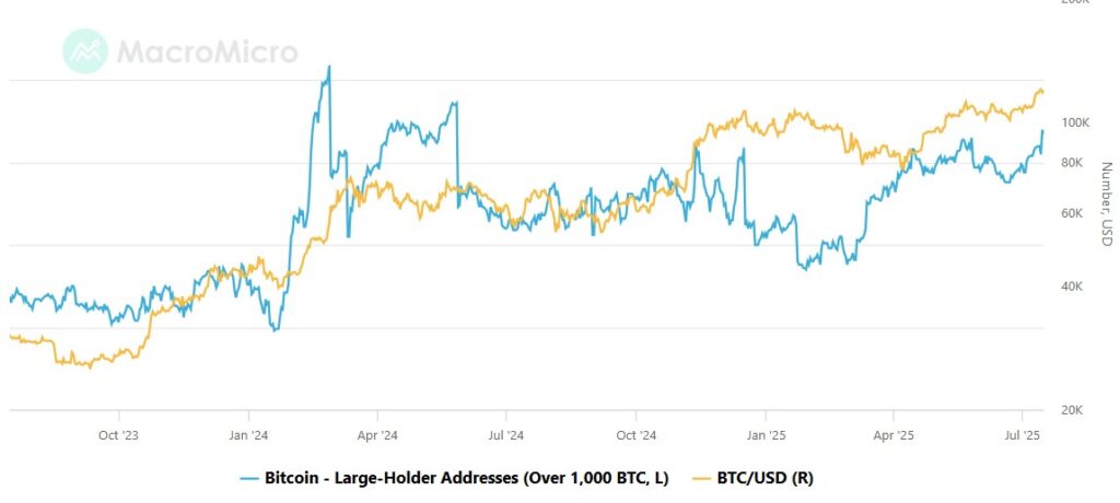 Gráfica de número de ballenas de BTC y el precio de BTC.