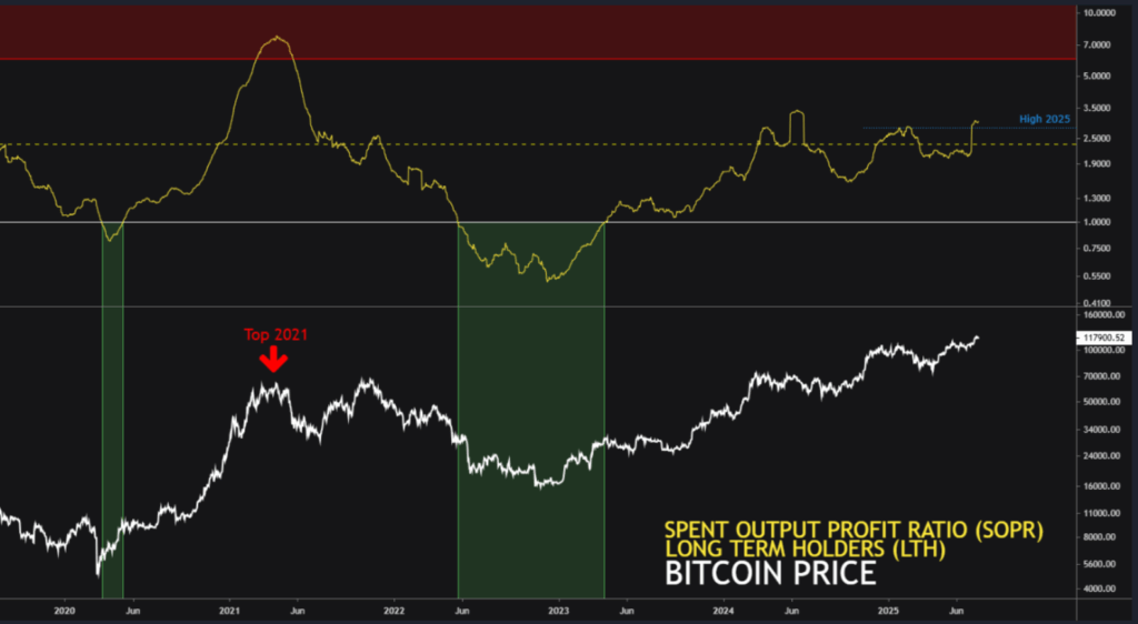 gráfico del precio de bitcoin y poseedores a largo plazo.