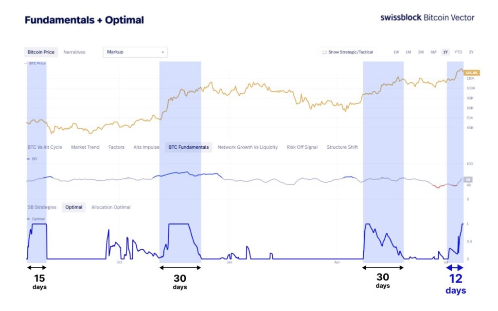 Graph that reflects Bitcoin's behavior after reaching a historical maximum.