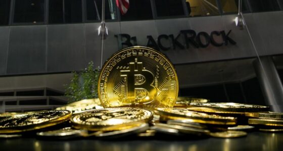 BlackRock ahora gestiona 700.000 bitcoin