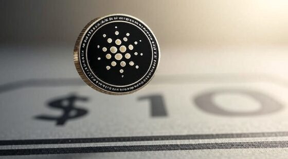 «Cardano a 10 dólares es realista»: Dan Gambardello