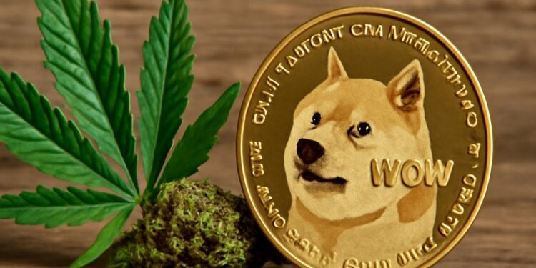 Cannabis junto a DOGE.