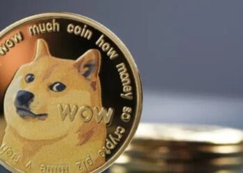 Moneda de DOGE.