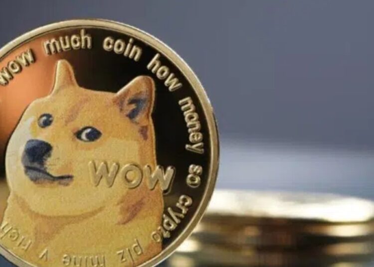 Moneda de DOGE.
