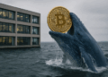 Se denomina "ballena" a una entidad con más de 1.000 bitcoin (BTC). Fuente: imagen generada por CriptoNoticias mediante Dall-E, de OpenAI.