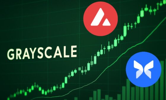 Avalanche y Morpho entraron en el radar de 20 criptomonedas elegidas por Grayscale