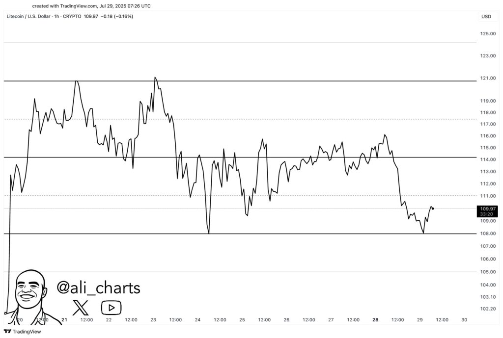 Gráfico de precio de litecoin.