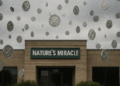 Nature's Miracle se suma a la tendencia de tesorerías corporativas con criptomonedas. Fuente: imagen generada por CriptoNoticiaws con inteligencia artificial de Dall-E, de OpenAI.