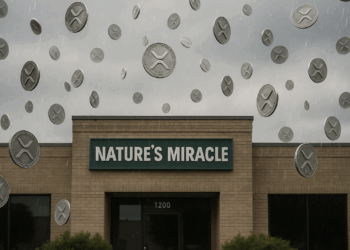 Nature's Miracle se suma a la tendencia de tesorerías corporativas con criptomonedas. Fuente: imagen generada por CriptoNoticiaws con inteligencia artificial de Dall-E, de OpenAI.