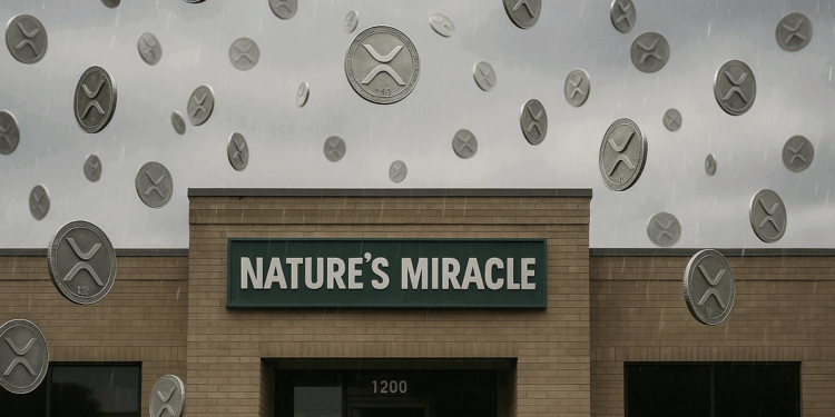 Nature's Miracle se suma a la tendencia de tesorerías corporativas con criptomonedas. Fuente: imagen generada por CriptoNoticiaws con inteligencia artificial de Dall-E, de OpenAI.