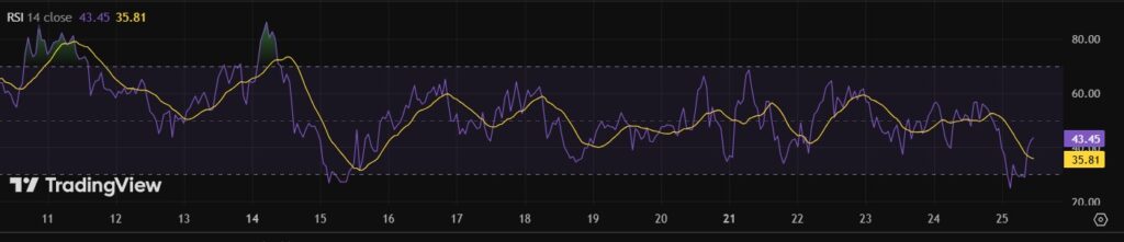 RSI de bitcoin.