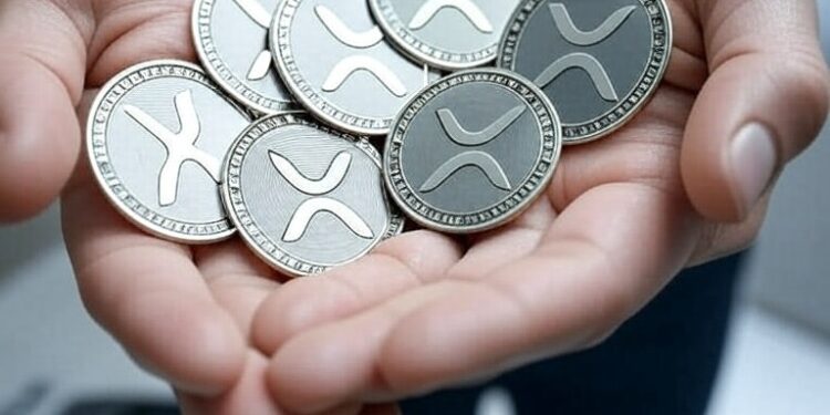 XRP se ha convertido en una opción atractiva para algunas empresas. Fuente: Imagen generada por CriptoNoticias mediante Grok.