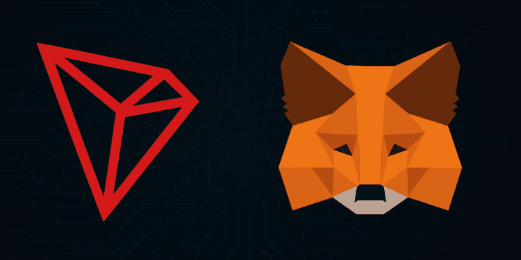 MetaMask se expande más allá de Ethereum. Fuente: Grok.