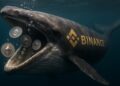 Ballena de Binance comiendo ETH.