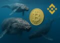 Ballenas de bitcoin y Binance.