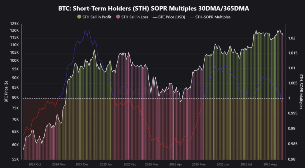 Bitcoin's short -term possessors (STH)