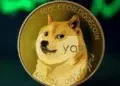 dogecoin-empresa-acumulacion-altcoins