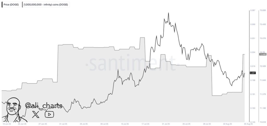 Gráfico de dogecoin.