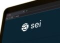 Logo de SEI en una pantalla de computadora.