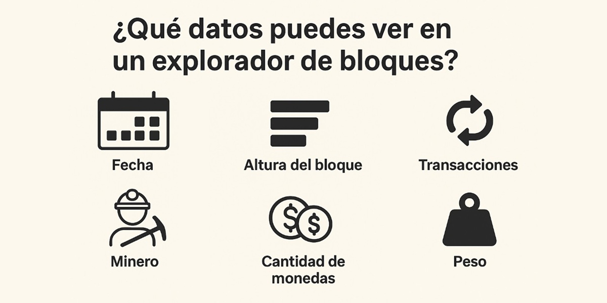 Diversos iconos representando datos que se puen extraer con un explorador de bloque.