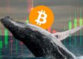 Ballena de bitcoin.