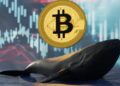 Una ballena con una moneda de bitcoin sobre ella y gráficas de precio de fondo.