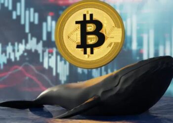 Una ballena con una moneda de bitcoin sobre ella y gráficas de precio de fondo.