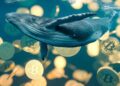 Una ballena nadando entre bitcoins.