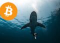 Un tiburon con un BTC al lado.