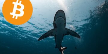Un tiburon con un BTC al lado.