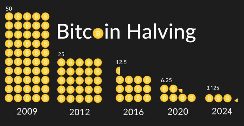 Infografía del halving de bitcoin.