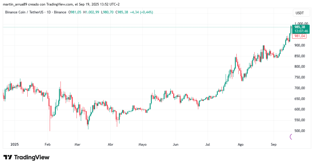 BNB price chart so far from 2025.