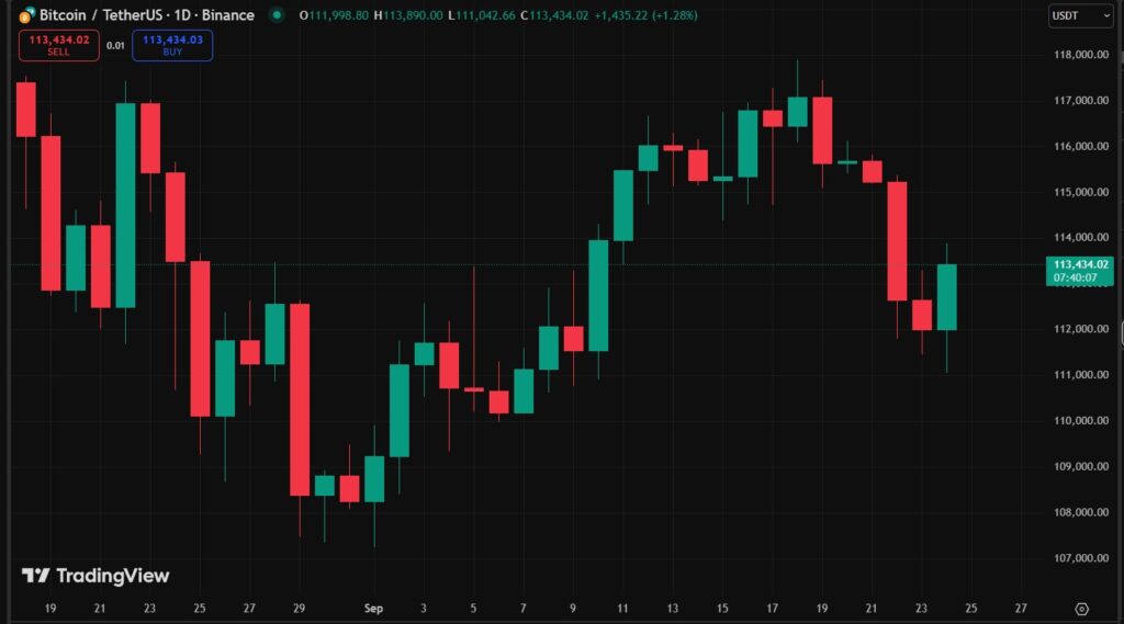 Gráfico del precio de bitcoin.