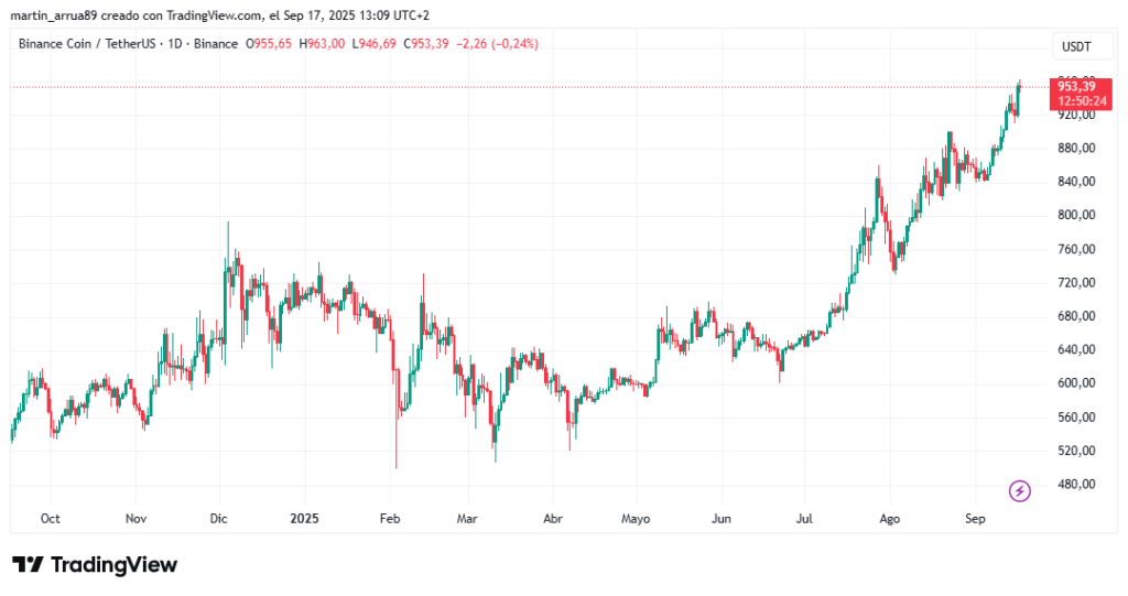 Gráfico de precio de BNB en los últimos 12 meses. 