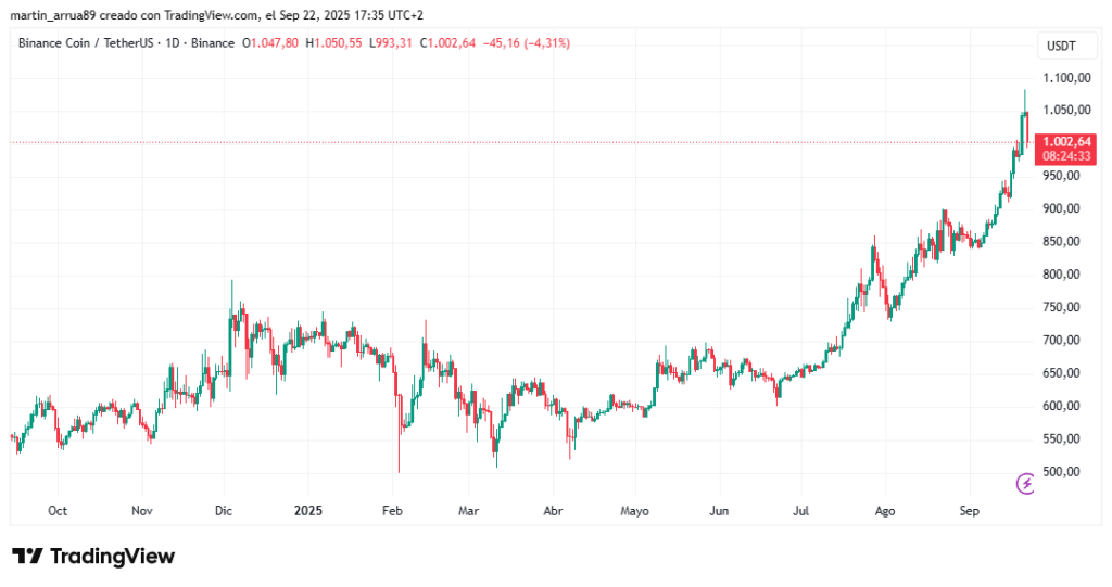 Gráfico de precio de BNB