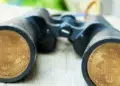 Policia de México DF advierte sobre fraudes relacionados con criptomonedas