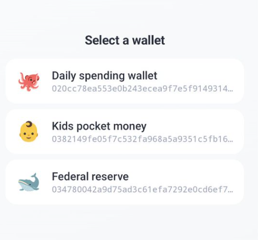 An image of an interface of an internet application that allows you to select different types of wallets.