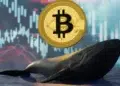 Logo de Bitcoin sobre una ballena frente a indicadores de mercados.