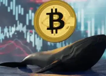 Logo de Bitcoin sobre una ballena frente a indicadores de mercados.