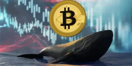 Ballena de la era Satoshi mueve bitcoin después de 14 años