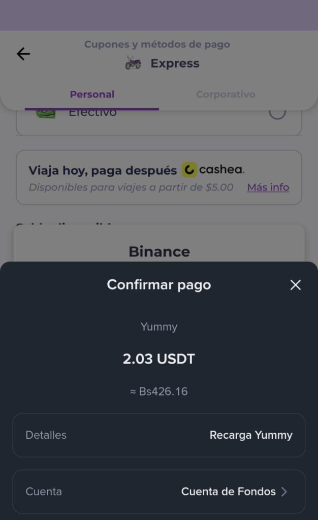 Screenshot of the invoice to be paid in USDT for a transfer service.